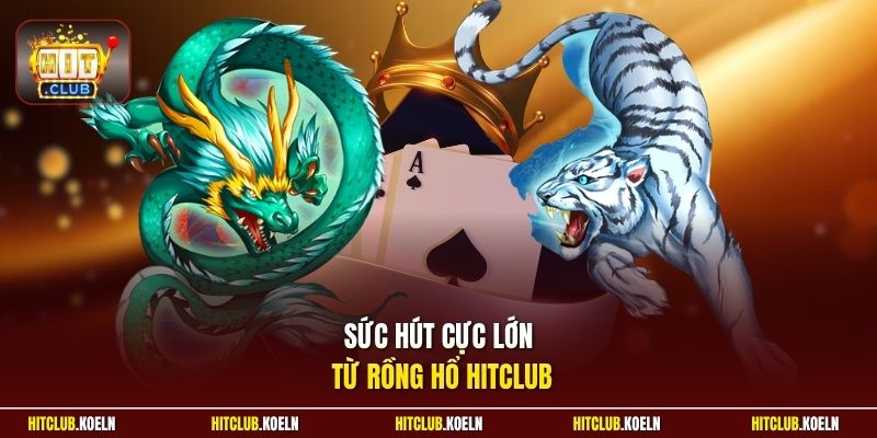 Sức hút cực lớn từ Rồng Hổ Hitclub