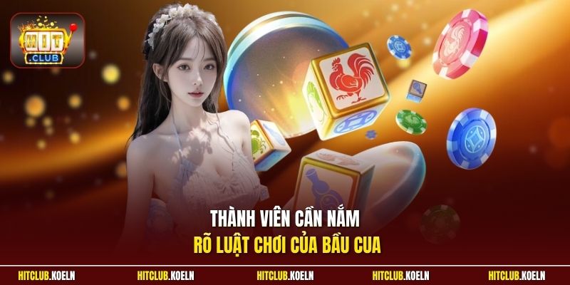 Thành viên cần nắm rõ luật chơi của Bầu Cua